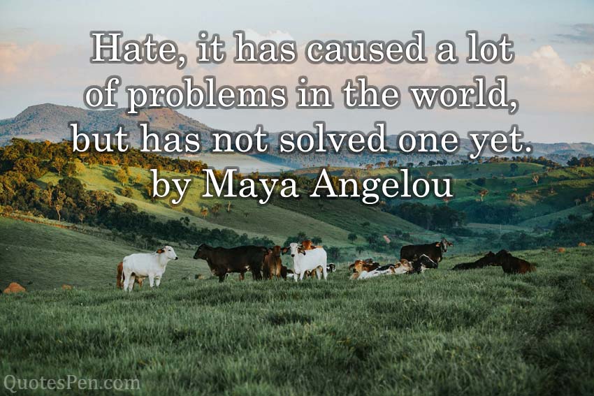 hate-it-has-caused-problems