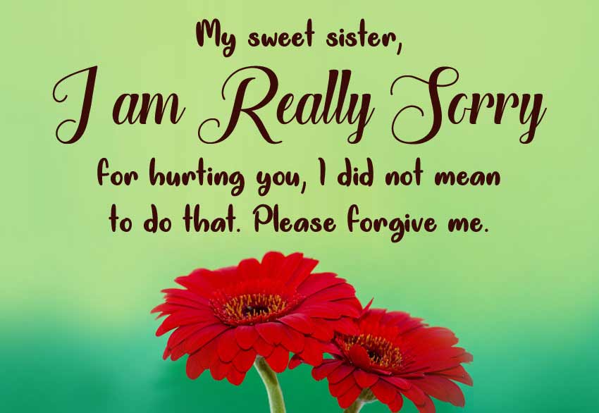 I-am-really-sorry-message-for-sister