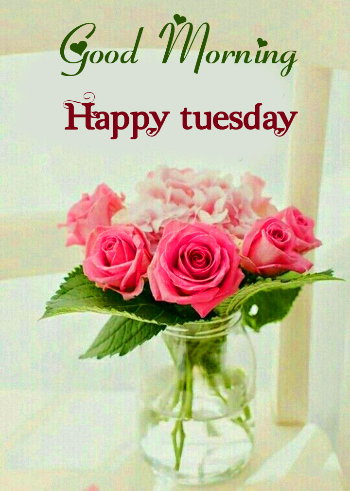 Good-Morning-Happy-Tuesday with Flowers Image