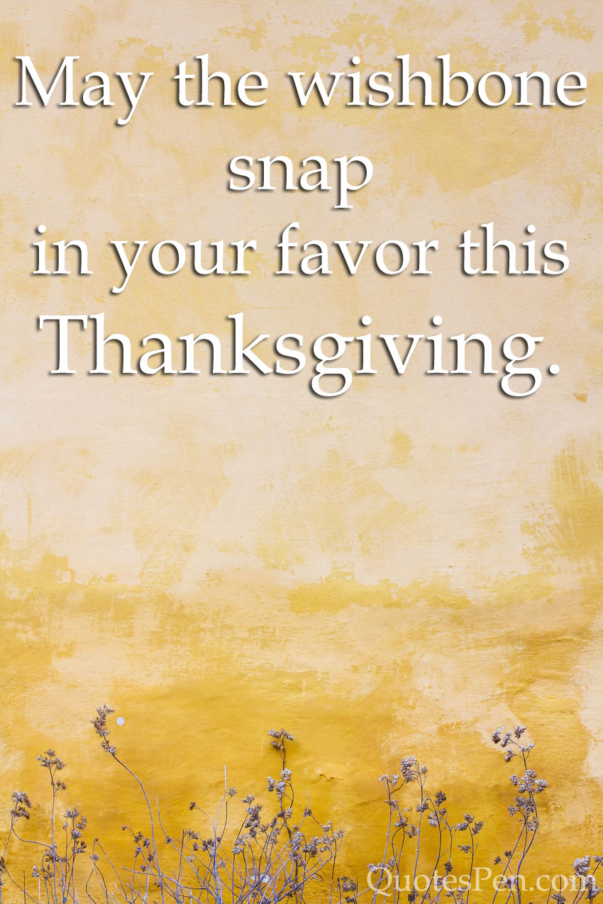 funny-happy-thanksgiving-day-wishes