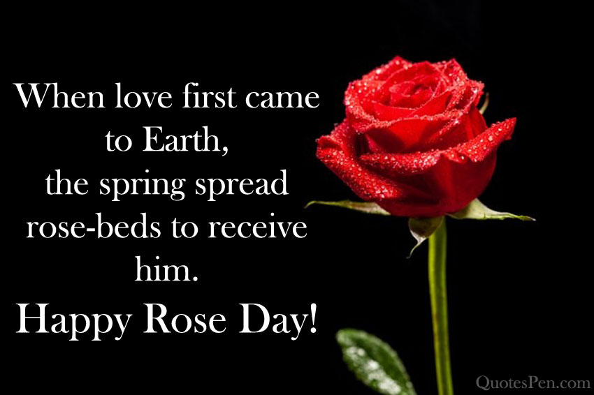 romantic-rose-day-greetings-to-wife