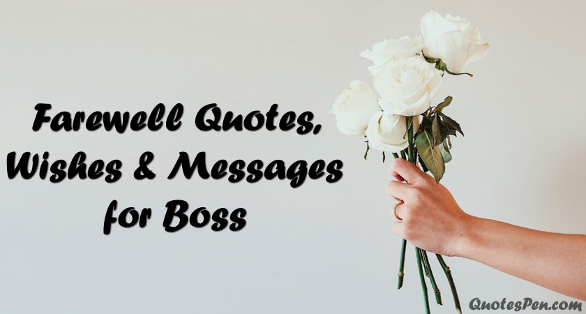 farewell-quotes-wishes-messages-for-boss