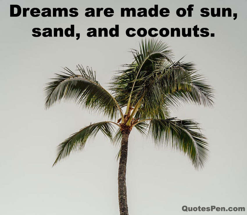 inspirational-coconut-tree-quote