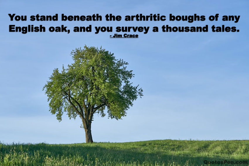 inspirational-oak-tree-quote
