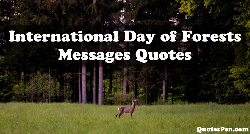 international-day-of-forests-messages-quotes