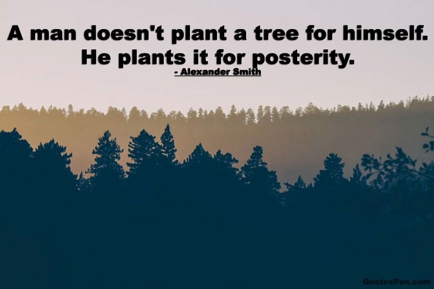 positive-quotes-about-trees
