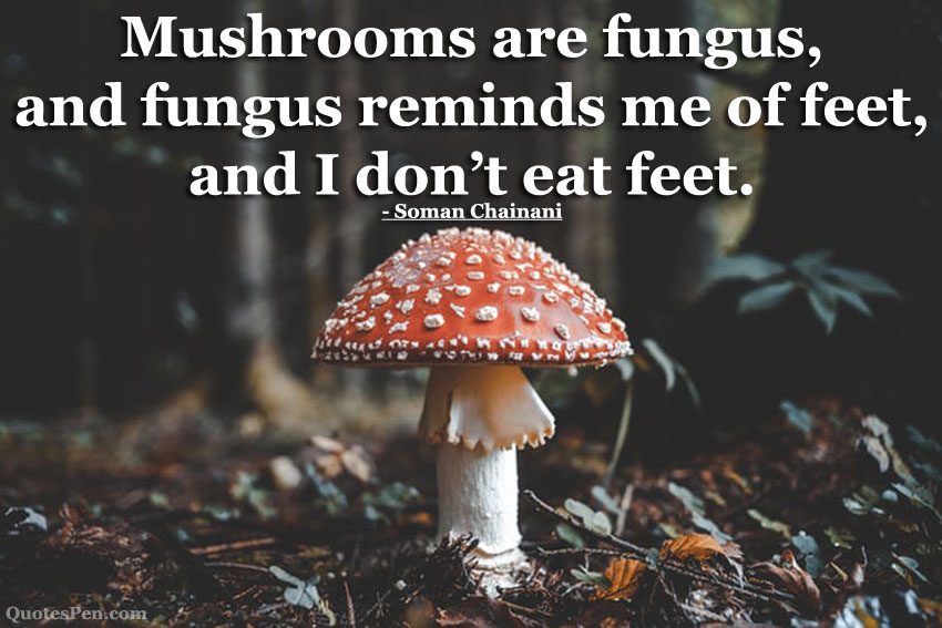 short-mushroom-quotes