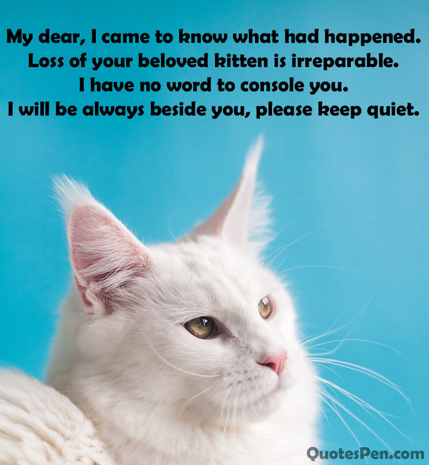 sympathy-message-for-death-of-a-cat