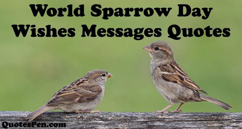 world-sparrow-day-wishes-messages-quotes